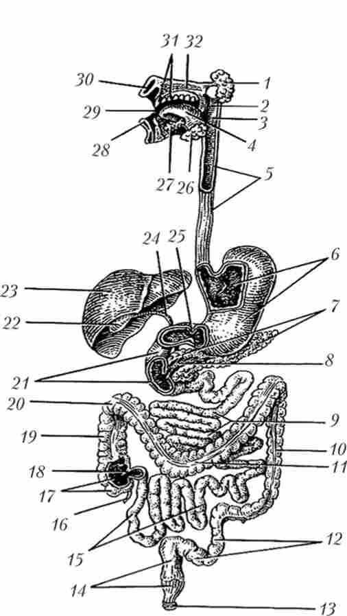 ����� ������ ������ ������� ������