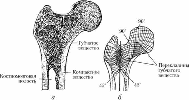 ������ ������ �������� �����