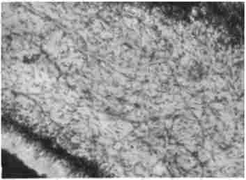 ������ ����. ����������� ������������� � �������. ̳�������, � 112,5