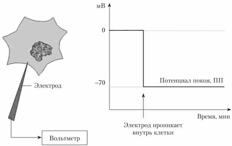 ����� ���������� ���������� ������