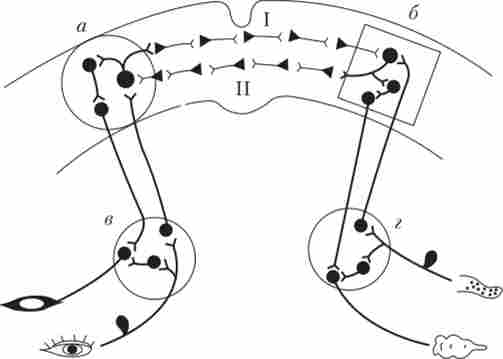 ����� ��������� ��'���� �� �������� ���� ���������� �������� � ���������� ��������