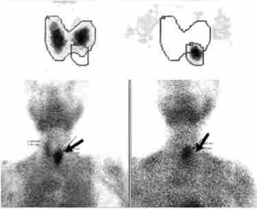 ���������� ������������ � 7� ������ �� ��������� ��������������. ������� ������� ���� ������������ ������������������ � ������ ���������������