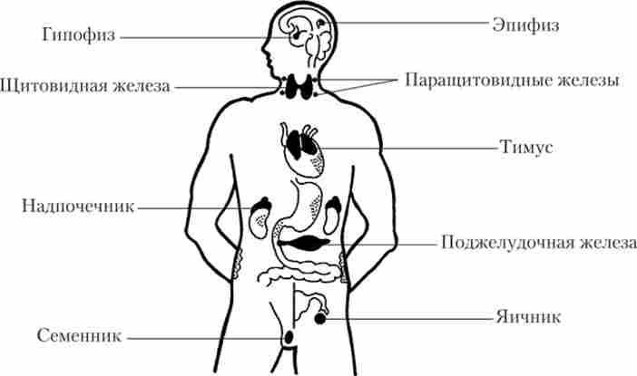 ������������ ����������� ����� � �� ������