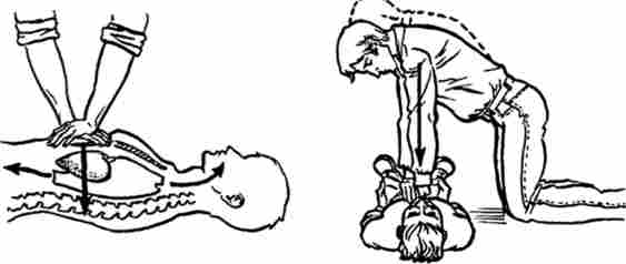 ��������� ������������