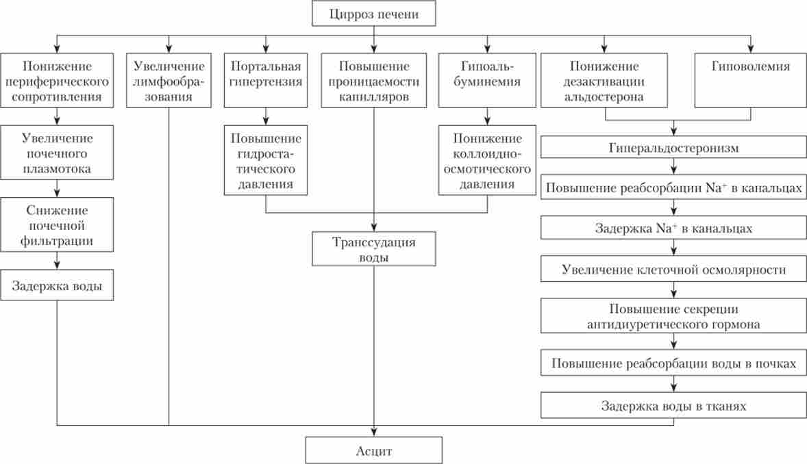 ������������� ��������� ���������� ������ ��� ����� �������