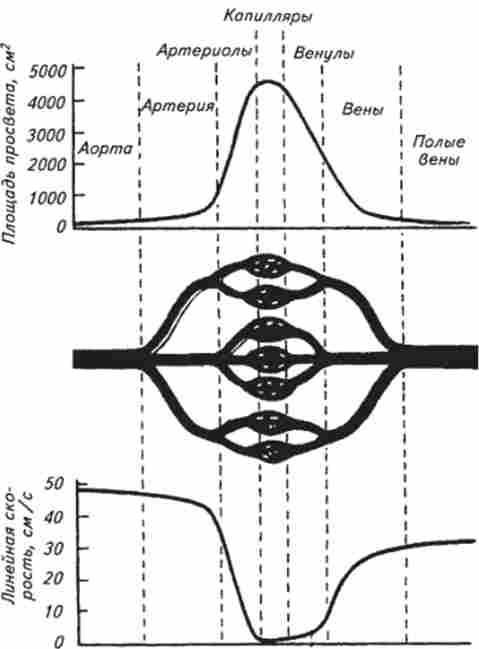 ���������� �������� ��������� �� �������� �����