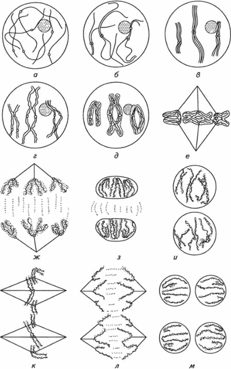 ����� � ��������� ������