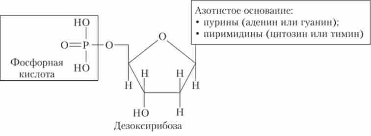 ����� ������ ���������� ���