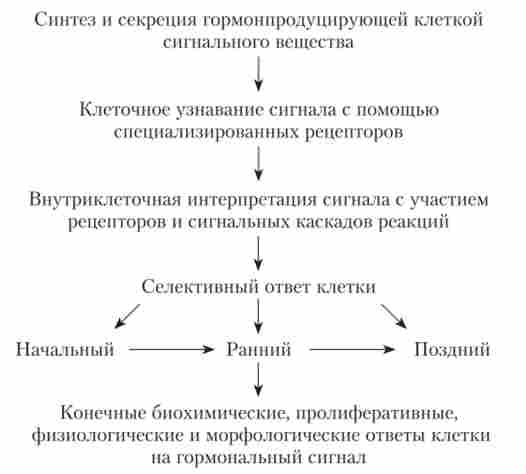 ����� �������� ������������ ������