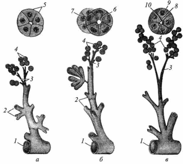 ���������� ������ �����