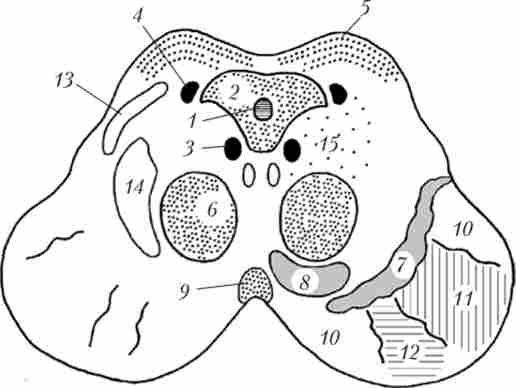 ����� ����������� ���� ����� �������� ����� � ������ ������� ������ ������������