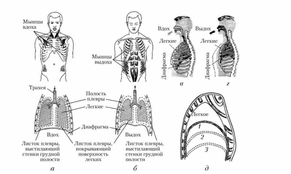 ��������� ������ ������ �� �������