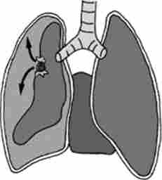 ������������ (����� ^