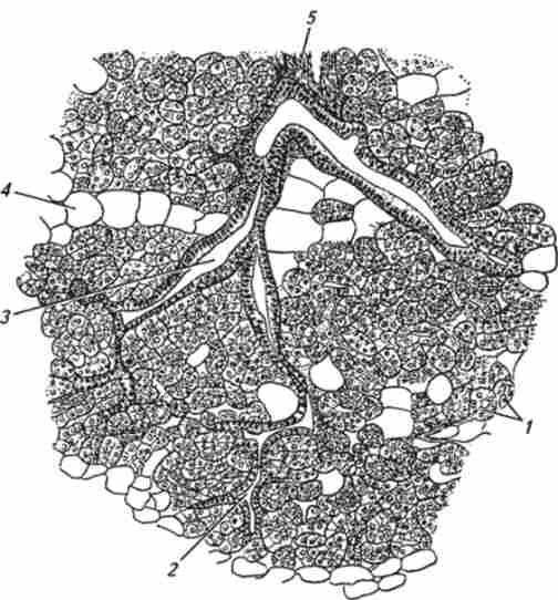 ������ �������� ������ ������