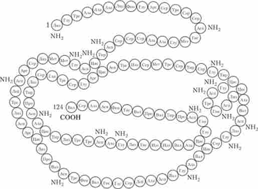 �������� ��������� �������� �������� �����������