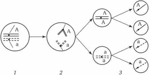 ���������� ������������������� � ������� I ������ �� ������� ����������� ����������� �����