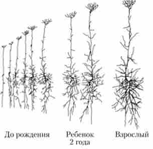 �������� �������� ����� ������ � ������ ����������