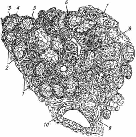 ������ ��������� ������ ������