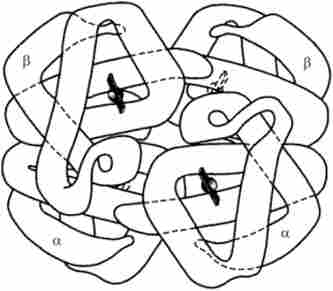 ������������ ��������� �������� ���������� ������