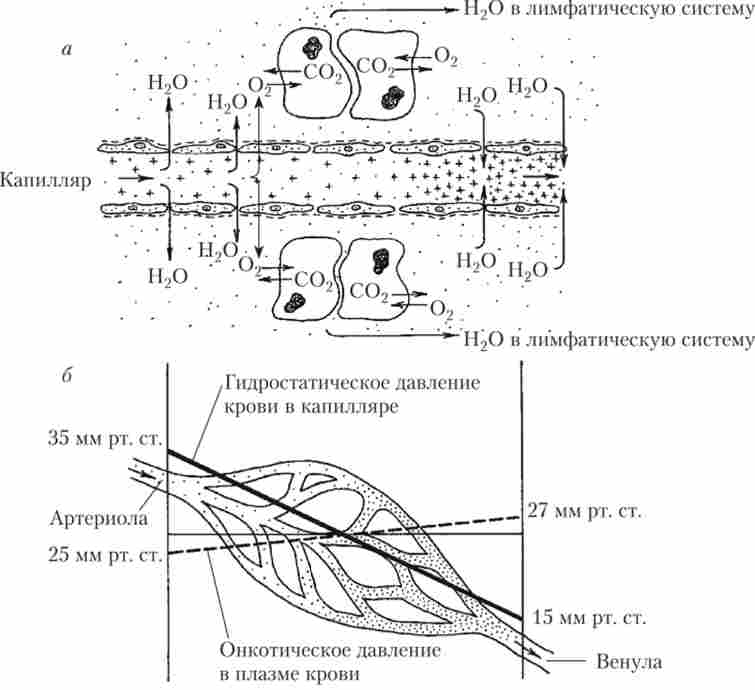 ����� ����� ������ �� ������������ ���������� � ���������� ��������� � �������� ��������� (�)