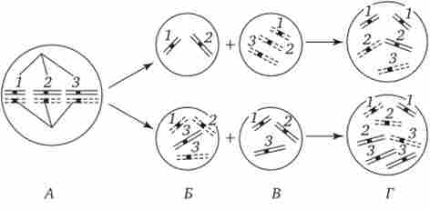 ��������� ��������� ������� ��������� (1,2,3) � ����� �� ������� ���������� �������䳳