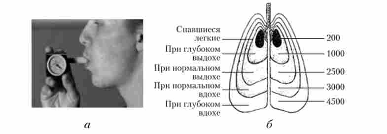 ���������� ƪ� ������� �������� (�); ��'�� ������� (��) ������� ������ ��� ����� ������ (�)