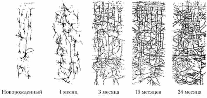 �������� ��������� ����� ���� ������� ������ ��������� ����� � ����� 2 ���� ����� ������