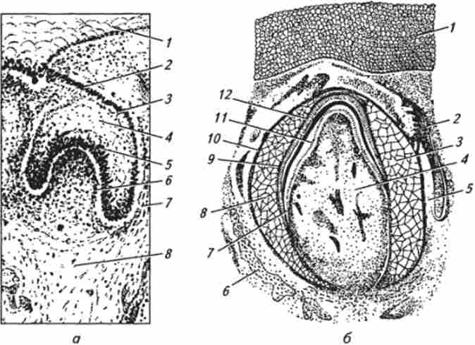 �������� ����
