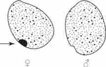 ��������� � ���������� ��������� ��������� � ����� ����� ������� ���� ���� ($) � ������� (�?)