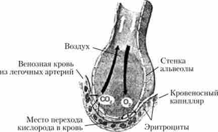 �������� � ��������� �������