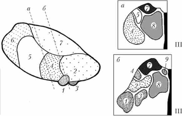 ���������� �������� �������� (������) � ����� ���� ���� ���������� ���� (�, �)