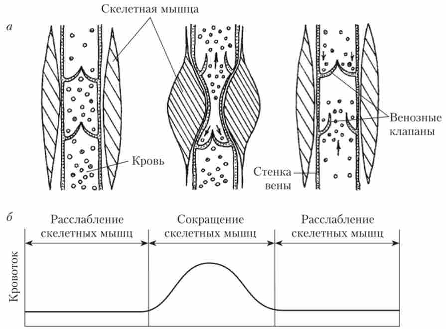 ����� ��������� �'������� ������ �� ��� ���� ��� �����
