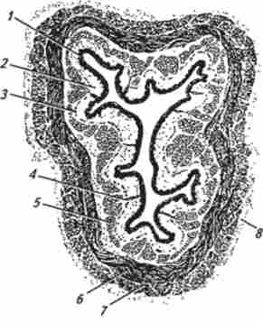 ���������� ����� ����������