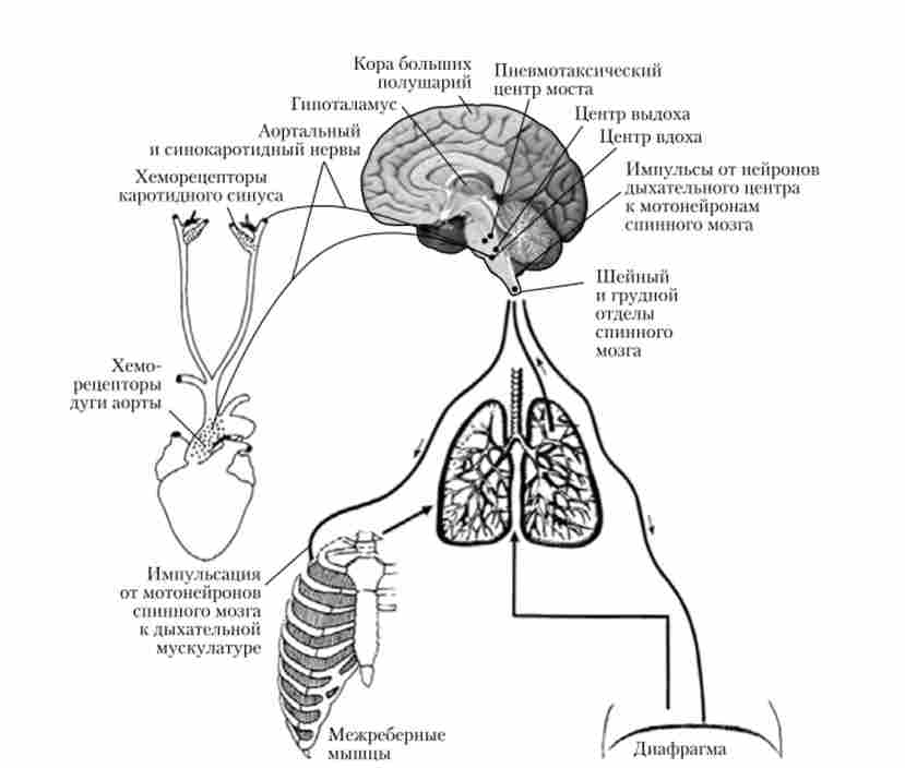 ��������� �������