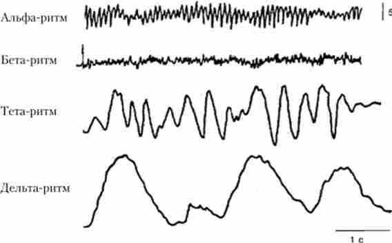 ������� ����� ��������������������