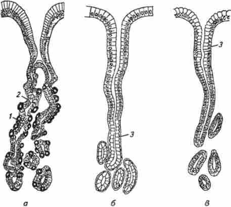 ������ ����� ������ (�� ����������� � ���������)