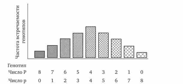 ���������� ������������ ���������� ���� � ������ �� ������� ���������� ����� � ������ ��������� (�) � �������