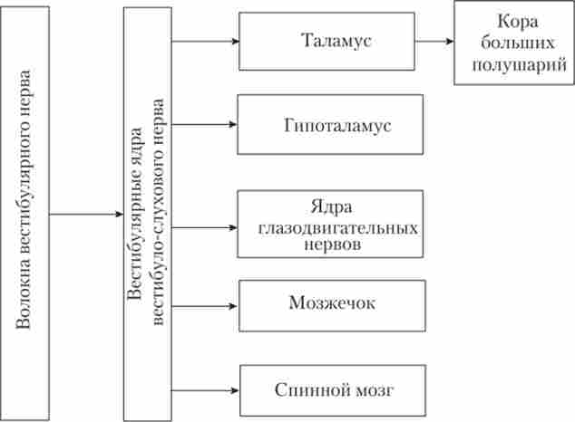 �������� ����� ������ � ������ ������������ ������� (����� ������������ �� �����������)