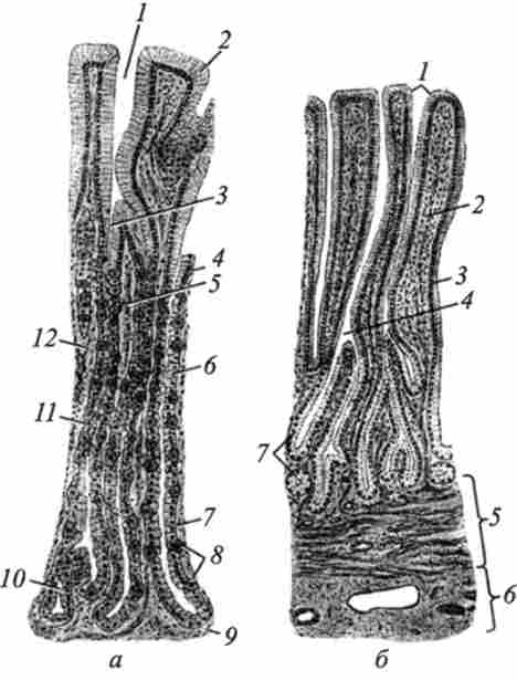 ������ ������� �������� ������