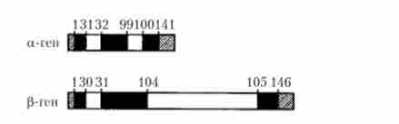 ��������� ����� �- � �-������ ������