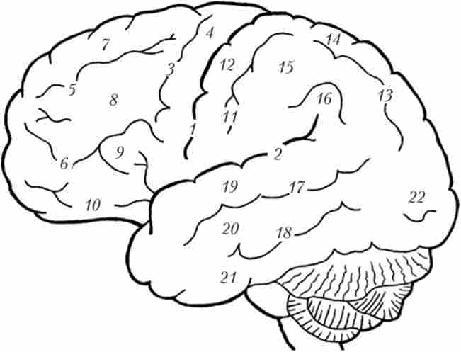 ���������� �������� ������� ������