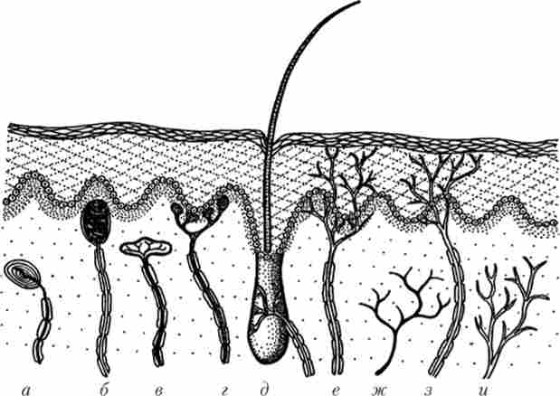 ����� ���������