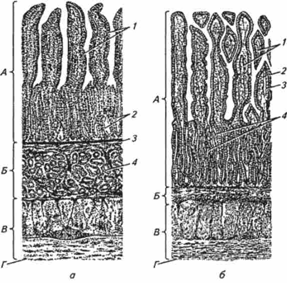 ������ ������� ���������