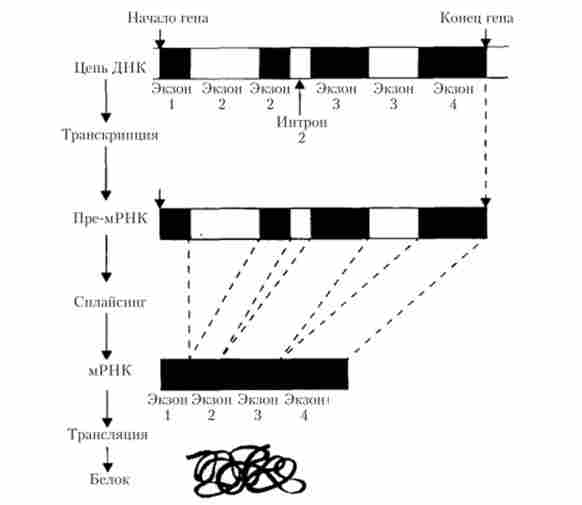 ������ ���� � �������������� ����