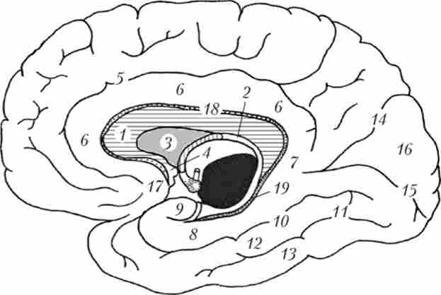 ������ �������� ������� ������