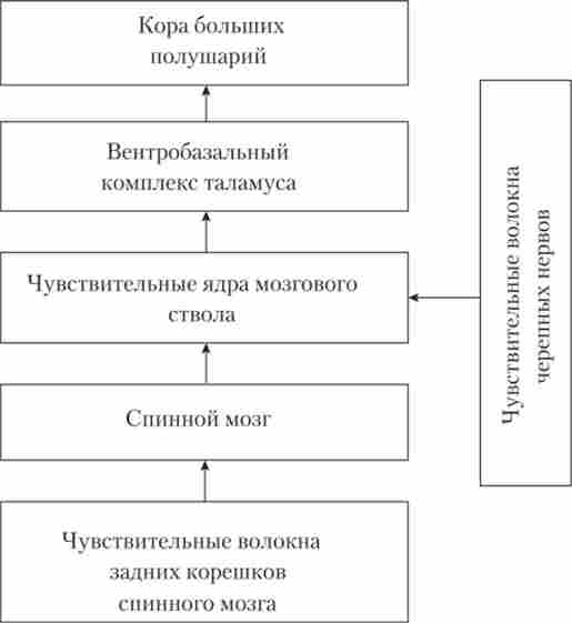 �������� ����� ������ � ������ ����� �������� �������