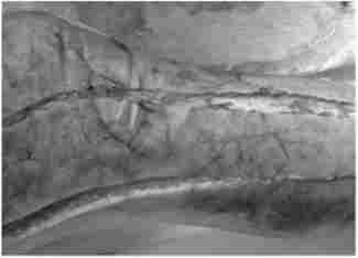 ��������� ��� ������������������ ���쳿 ������