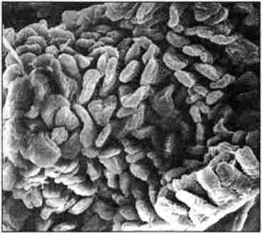 �������� ������� �������� ������� ��������� ��� �������� ���������� �������ﳿ. ��������� �700