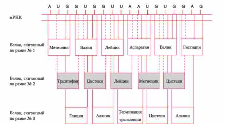 ������� ����������������������