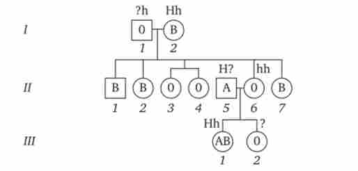 ������, �� ������� ������������ ����� ���� �� �������� ��� ��� ������������ �������